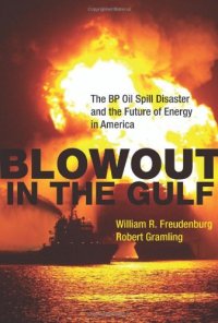 cover of the book Blowout in the Gulf: The BP Oil Spill Disaster and the Future of Energy in America