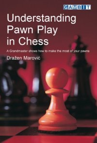 cover of the book Understanding Pawn Play in Chess