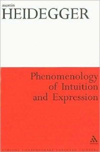 cover of the book Phenomenology of Intuition and Expression