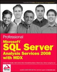 cover of the book Professional Microsoft SQL Server Analysis Services 2008 with MDX (Wrox Programmer to Programmer)