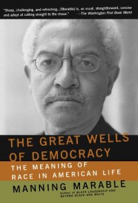 cover of the book The Great Wells Of Democracy: The Meaning Of Race In American Life