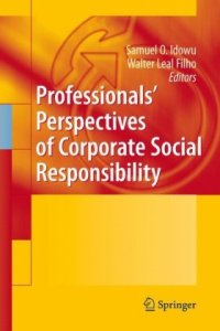 cover of the book Professionals' Perspectives of Corporate Social Responsibility