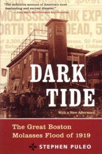 cover of the book Dark Tide: The Great Molasses Flood of 1919