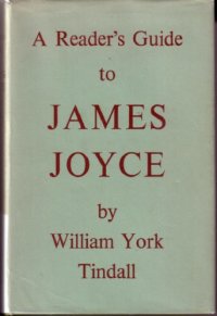 cover of the book A Reader's Guide to James Joyce