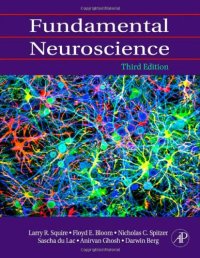 cover of the book Fundamental Neuroscience, Third Edition