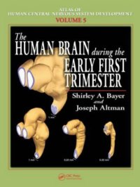 cover of the book The Human Brain During the Early First Trimester (Atlas of Human Central Nervous System Development)