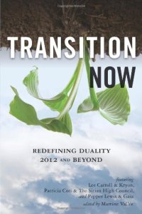 cover of the book Transition Now: Redefining Duality, 2012 and Beyond