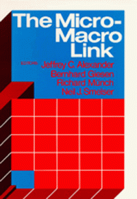 cover of the book The Micro-Macro Link