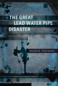 cover of the book The Great Lead Water Pipe Disaster