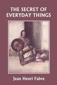 cover of the book The Secret of Everyday Things