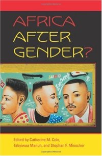 cover of the book Africa After Gender?