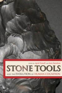 cover of the book Stone Tools and the Evolution of Human Cognition