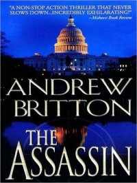 cover of the book Ryan Kealey 2 The Assassin   