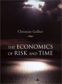 cover of the book The Economics of Risk and Time