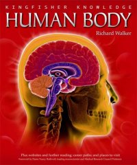 cover of the book Amazing Human Body (Dk)