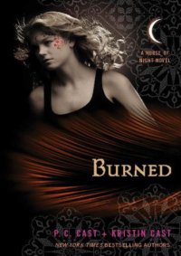 cover of the book Burned