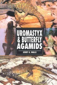 cover of the book Uromastyx & Butterfly Agamids