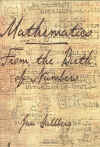 cover of the book Mathematics: From the Birth of Numbers