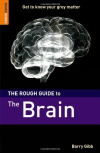 cover of the book The Rough Guide to the Brain 1 (Rough Guide Reference)