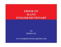 cover of the book Ebook on Slang English Dictionary