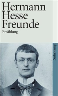 cover of the book Freunde