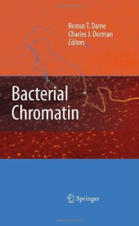 cover of the book Bacterial Chromatin