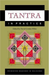 cover of the book Tantra in Practice