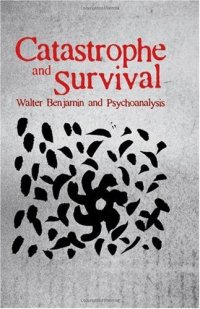 cover of the book Catastrophe and Survival: Walter Benjamin and Psychoanalysis