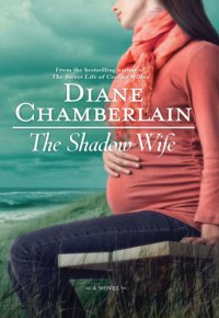 cover of the book The Shadow Wife (formerly known as Cypress Point)