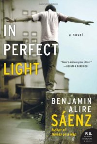 cover of the book In Perfect Light: A Novel (P.S.)