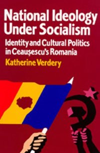 cover of the book National Ideology Under Socialism: Identity and Cultural Politics in Ceausescu's Romania (Societies and Culture in East-Central Europe)