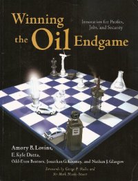 cover of the book Winning the Oil Endgame