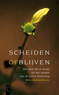 cover of the book Scheiden of blijven   druk 1: een gids die je helpt bij het nemen van de juiste beslissing