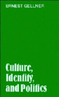 cover of the book Culture, Identity, and Politics