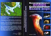 cover of the book Иллюстрированный атлас беспозвоночных Белого моря