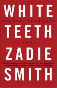 cover of the book White Teeth