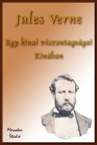 cover of the book Egy kínai viszontagságai Kínában