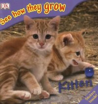 cover of the book Kitten (See How They Grow)