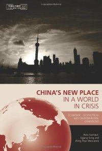 cover of the book China's New Place in a World in Crisis: Economic, Geopolitical and Environmental Dimensions