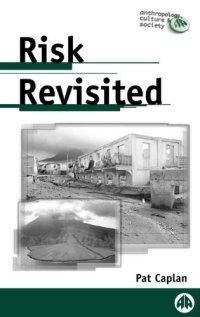 cover of the book Risk Revisited (Anthropology, Culture and Society)