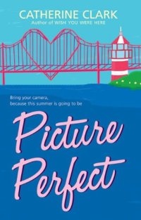 cover of the book Picture Perfect