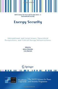 cover of the book Energy Security: International and Local Issues, Theoretical Perspectives, and Critical Energy Infrastructures