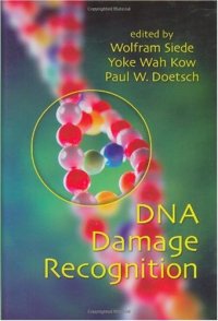 cover of the book DNA Damage Recognition