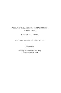 cover of the book Race, Culture, Identity: Misunderstood Connections