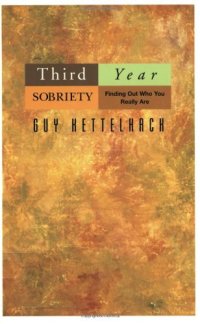 cover of the book Third Year Sobriety: Finding Out Who You Really Are