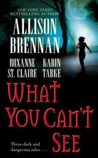 cover of the book What You Can't See