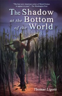 cover of the book The Shadow at The Bottom of The World