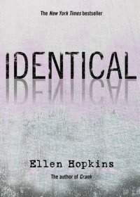 cover of the book Identical