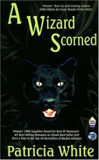 cover of the book A Wizard Scorned