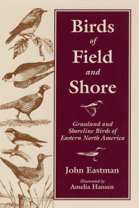 cover of the book Birds of Field and Shore: Grassland and Shoreline Birds of Eastern North America